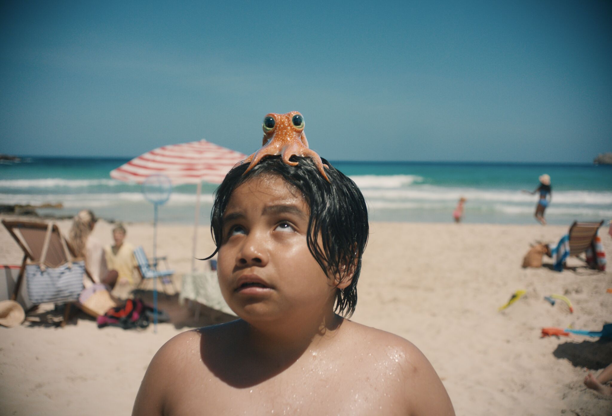 The Boy & The Octopus